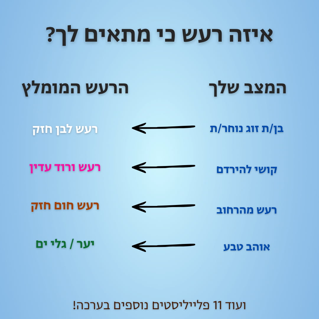 ZELORD - ערכת השינה הדיגיטלית